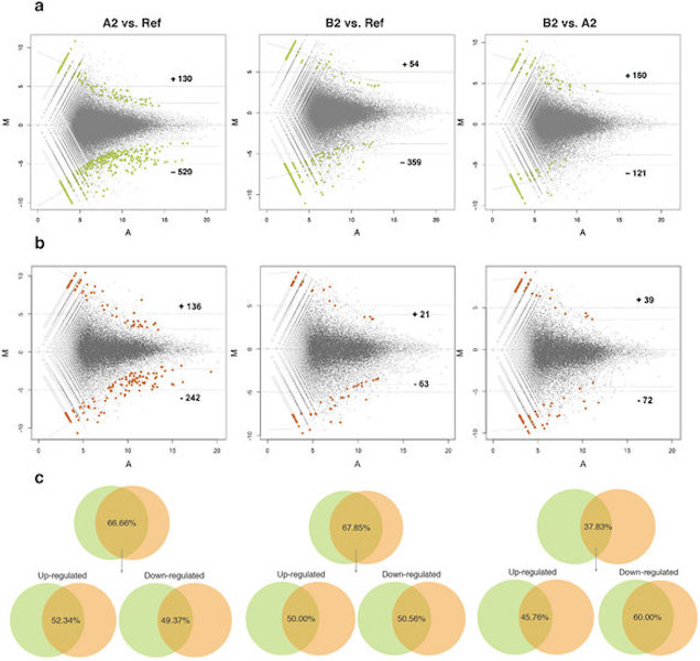 Github Bzhanglab Funmap Generate Gene Co Function Networks Using Omics Data - Best Mountain Wallpapers in 8K