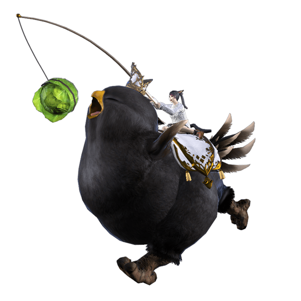 CHOCOBO