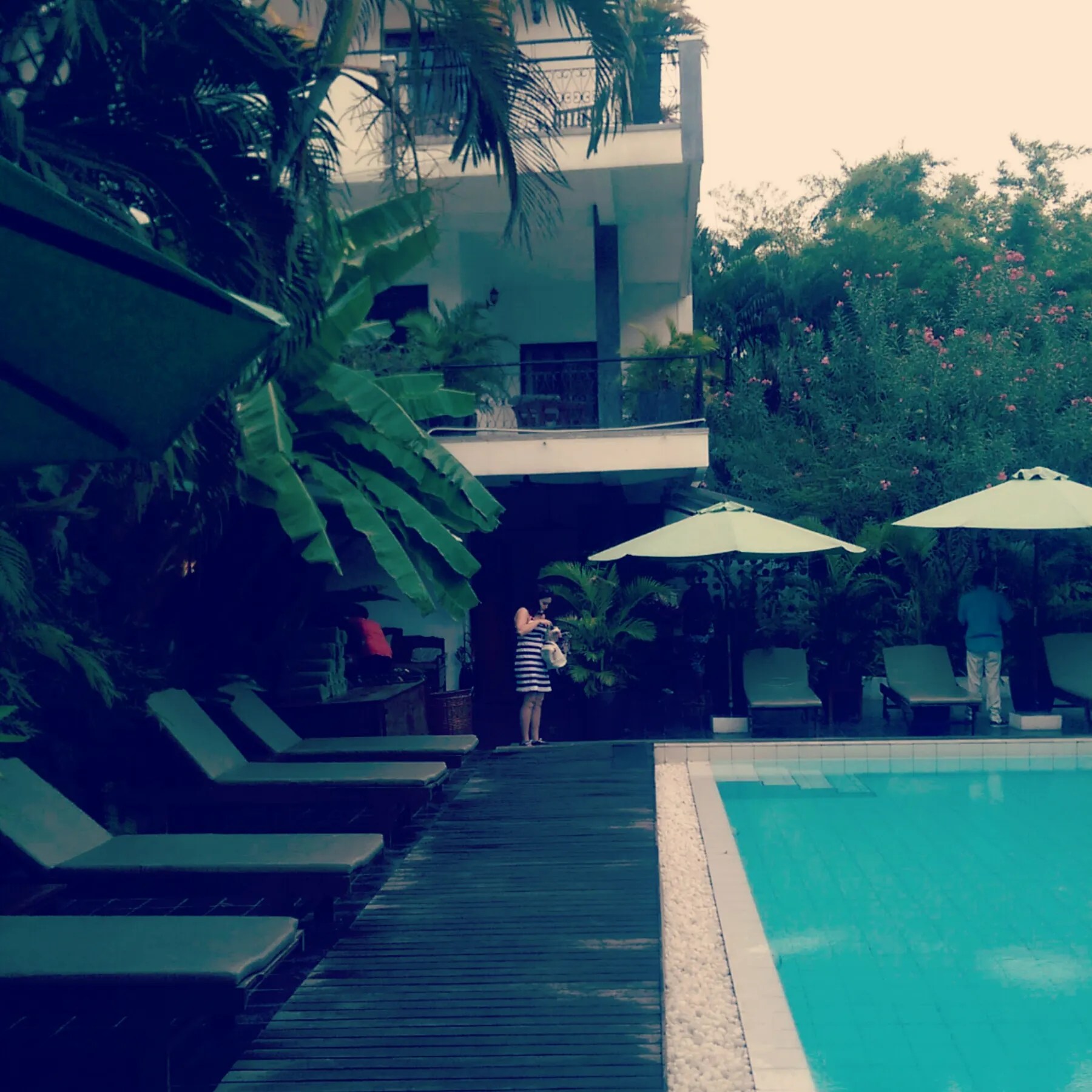 Samsara Villa Review Pool