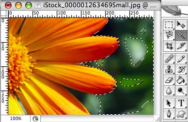 Photoshop offers many different techniques to remove an unwanted background from an image. Photoshop 101 - The Magic Wand Tool | George Ornbo