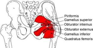 Read more about the article Denville NJ Pain RELIEF Guru Debunks Hidden hip pain no one ever finds!…Shapes R In LLC