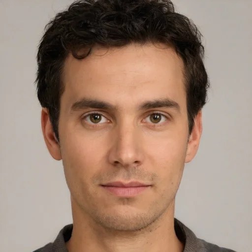 WordPress Developer WordPress Developer