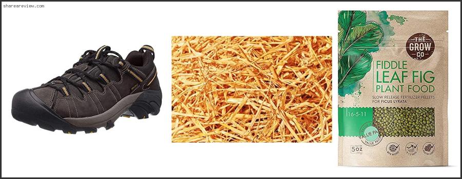 Top 10 Best Mulch For Olive Trees Reviews & Buying Guide In 2022 Best Mulch For Olive Trees