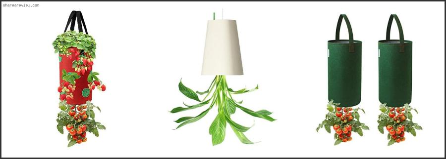 Top 10 Best Tomato For Upside Down Planter Reviews & Buying Guide In 2022 Best Tomato For Upside Down Planter