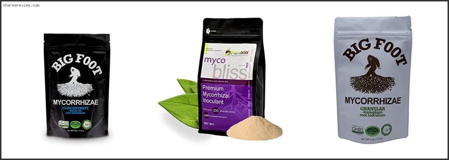 Top 10 Best Mycorrhizae For Lawns Reviews & Buying Guide In 2022 Best Mycorrhizae For Lawns