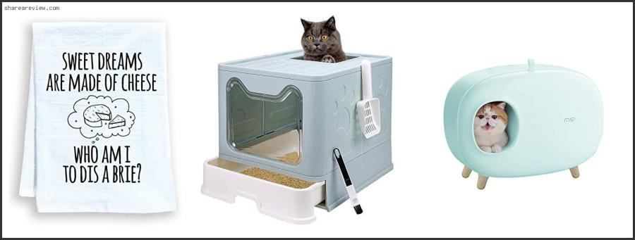 Top 10 Best Cat Toilet Training Kit Reviews & Buying Guide In 2022 Best Cat Toilet Training Kit