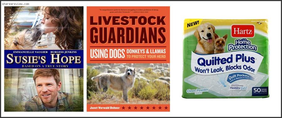 Top 10 Best Dog To Train For Protection Reviews & Buying Guide In 2022 Best Dog To Train For Protection
