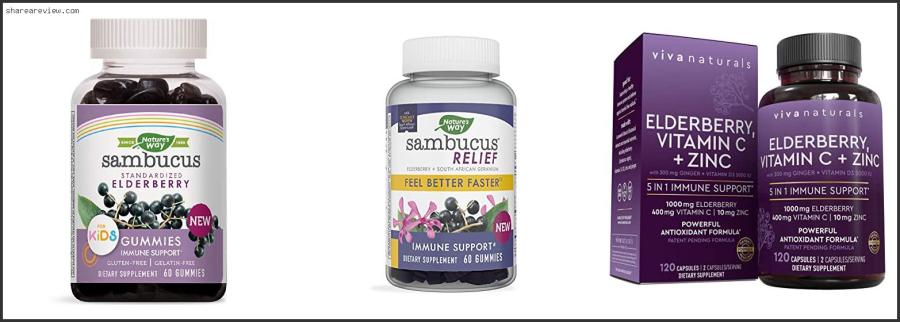 Top 10 Best Form Of Elderberry To Take Reviews & Buying Guide In 2022 Best Form Of Elderberry To Take