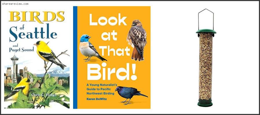 Top 10 Best Bird Feeders For Seattle Reviews & Buying Guide In 2022 Best Bird Feeders For Seattle