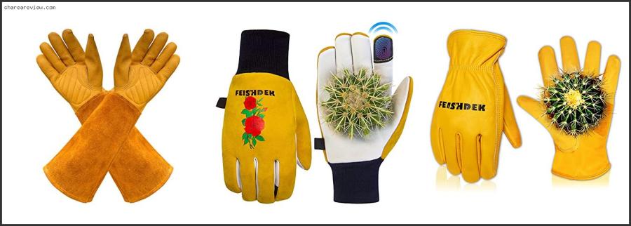 Top 10 Best Work Gloves For Cactus Reviews & Buying Guide In 2022 Best Work Gloves For Cactus