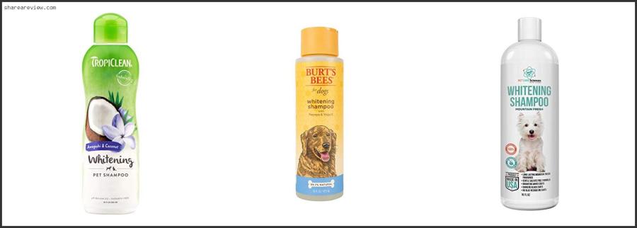 Top 10 Best Dog Shampoo For White Fur Reviews & Buying Guide In 2022 Best Dog Shampoo For White Fur