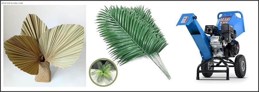 Top 10 Best Chipper Shredder For Palm Fronds Reviews & Buying Guide In 2022 Best Chipper Shredder For Palm Fronds
