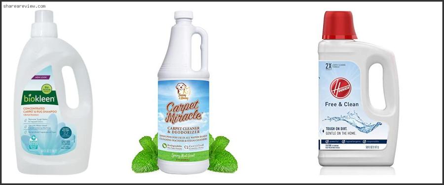Top 10 Best Carpet Cleaning Solution For Allergies Reviews & Buying Guide In 2022 Best Carpet Cleaning Solution For Allergies