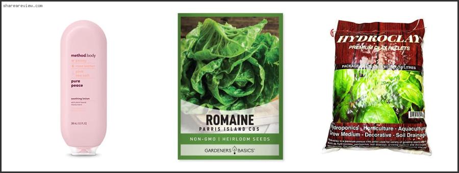 Top 10 Best Lettuce For Kratky Method Reviews & Buying Guide In 2022 Best Lettuce For Kratky Method