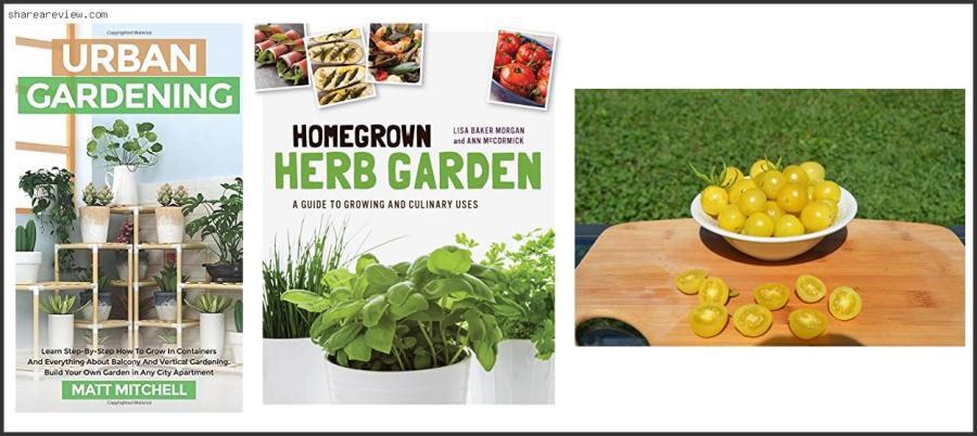 Top 10 Best Tomatoes To Grow In Chicago Reviews & Buying Guide In 2022 Best Tomatoes To Grow In Chicago