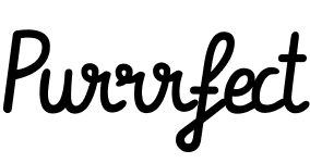 sharedspace