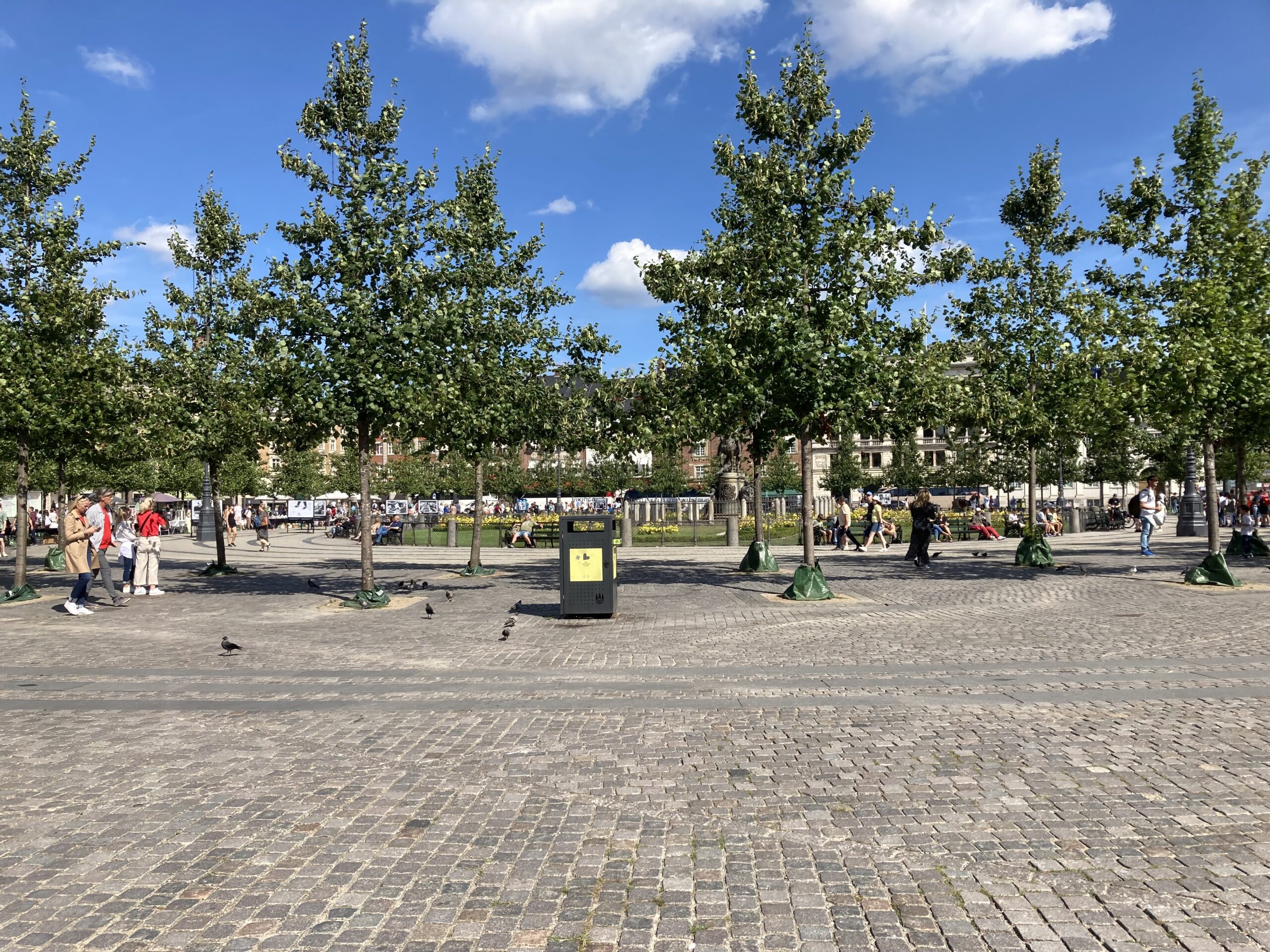 Image from From Nyhavn to Nightcaps: 48 Hours in Copenhagen posted on Shared Suitcase in Cities & Destinations Image from From Nyhavn to Nightcaps: 48 Hours in Copenhagen posted on Shared Suitcase in Cities & Destinations