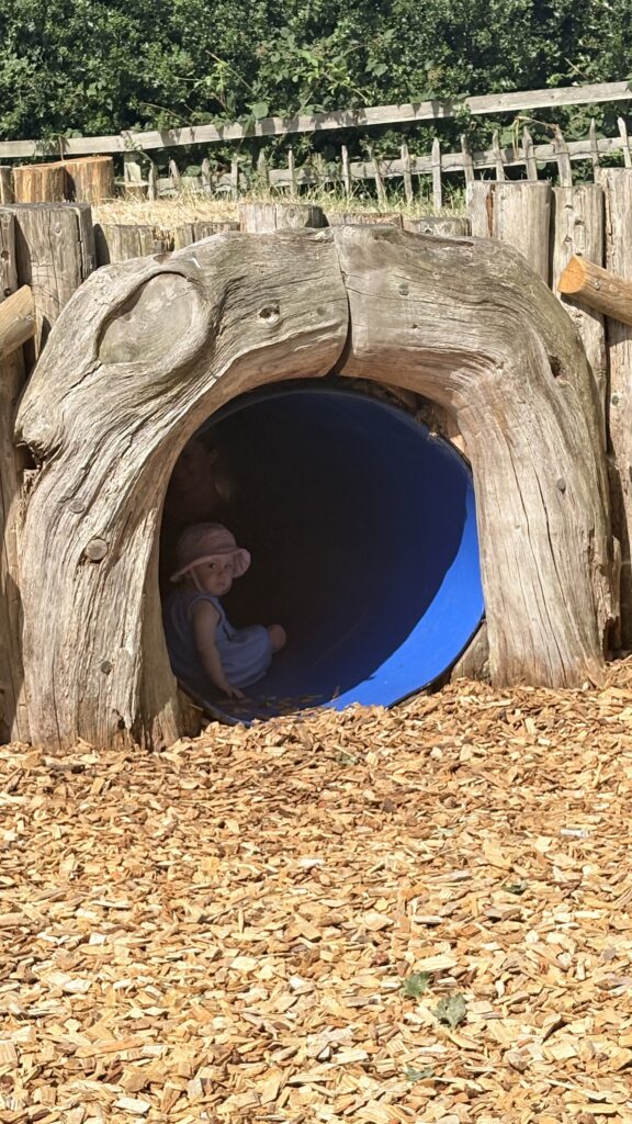 Image from Boscobel House and the Royal Oak: Where a King Hid in a Tree posted on Shared Suitcase in Attractions & Things To Do Image from Boscobel House and the Royal Oak: Where a King Hid in a Tree posted on Shared Suitcase in Attractions & Things To Do