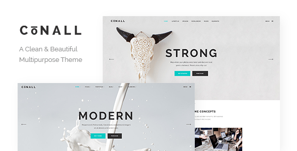 Conall - Clean Multipurpose WordPress Theme