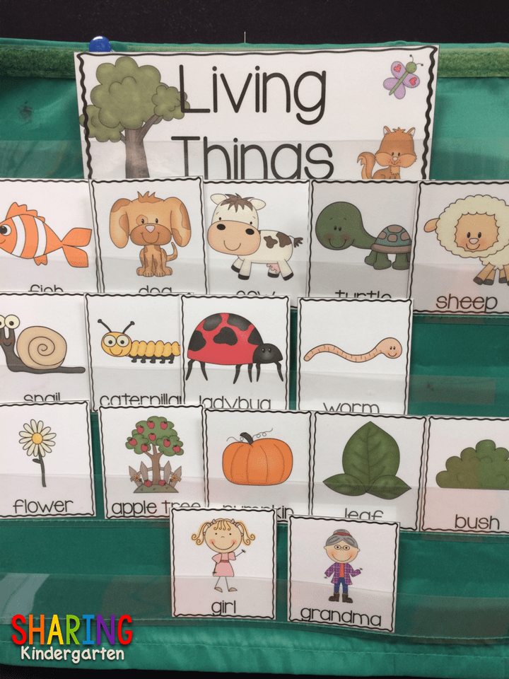 print play with living and non living things sharing