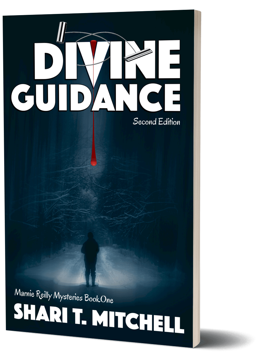 Divine Guidance Book Cover