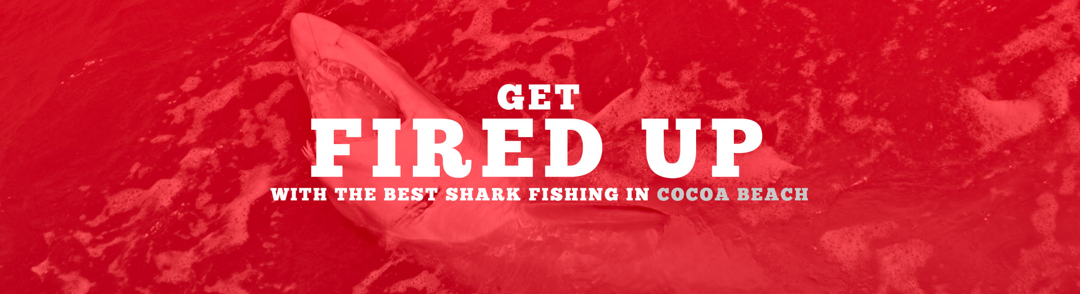 Cocoa Beach Shark Fishing Charters Port Canaveral Sharks