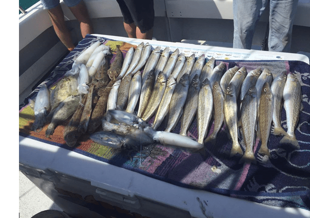Best fishing charters melbourne