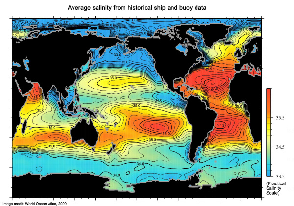 Average salinity utilizing historical ship and buoy data. Notice practical salinity is higher (red) along the North Carolina coastline. | Photo credit: World Ocean Atlas, 2009