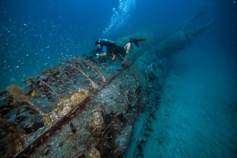 Shipwrecks in North Carolina reflect rich maritime history and are home to a diversity of marine life. | Photo credit: T. Casserley, NOAA.