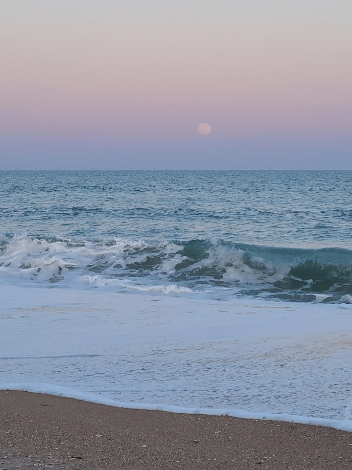 The surface returns to quiet. The system does not. | Photo credit: A. Mitchell