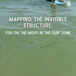 Mapping the Invisible Structure: Fish on the Move in the Surf Zone Mapping the Invisible Structure: Fish on the Move in the Surf Zone