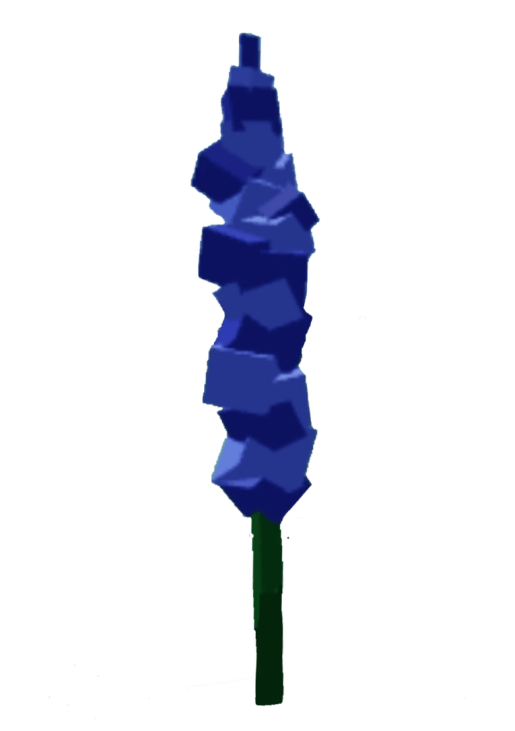 Delphinium