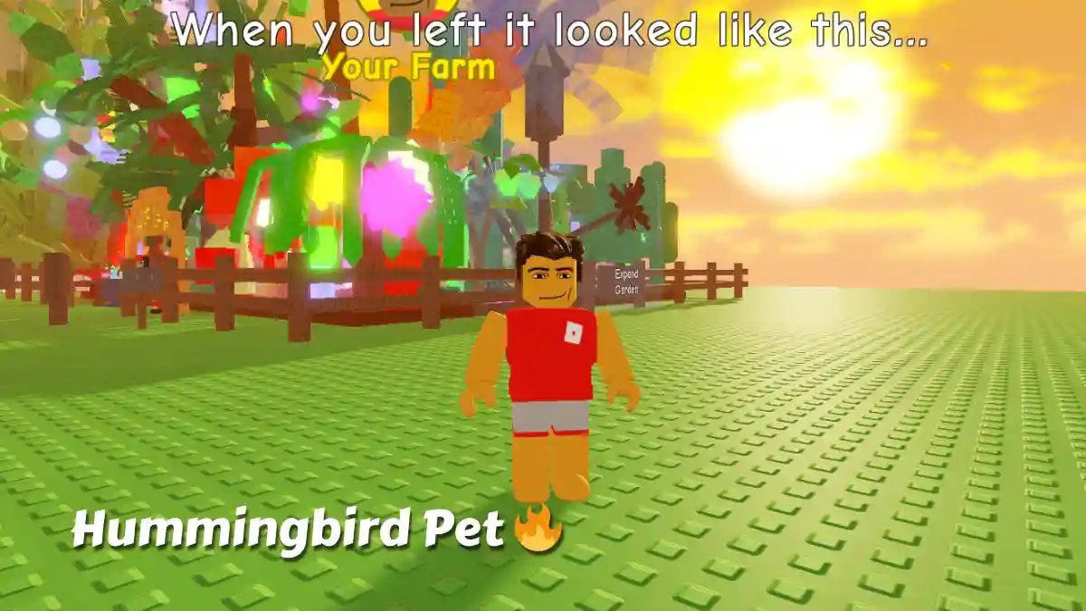 Grow a Garden Hummingbird Pet Wiki