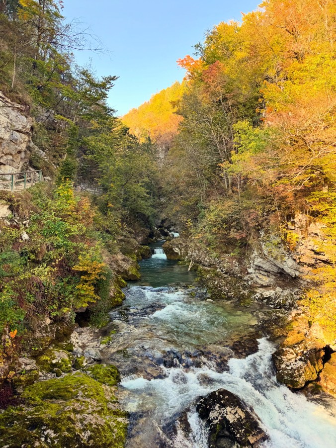 Late sun lights a hillside of yellow and orange trees above a fast, foaming river. A wooden railing edges a path cut into the rock on the left.