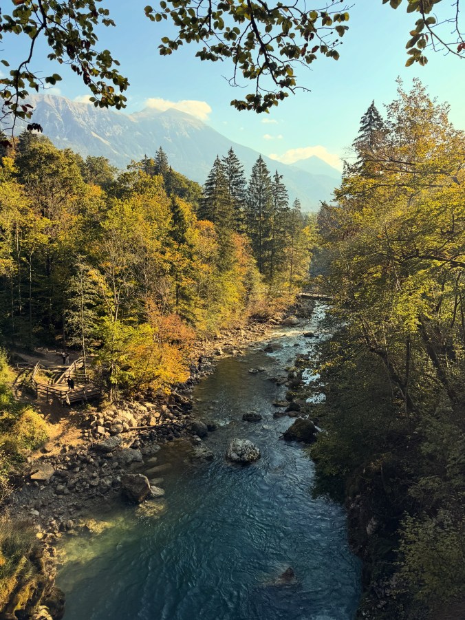 Looking down through overhanging branches at a broad, clear river winding through autumn forest. Mountains rise in the blue distance, and a few people stand on a wooden viewing platform by the bank.