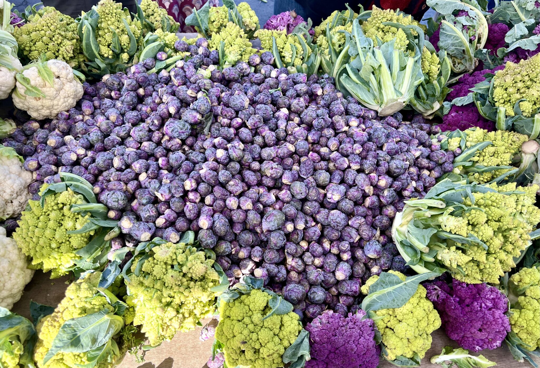 Cruciferous Greens: Well being Advantages, Vitamin Details, and Straightforward Cooking Ideas Cruciferous Greens: Well being Advantages, Vitamin Details, and Straightforward Cooking Ideas