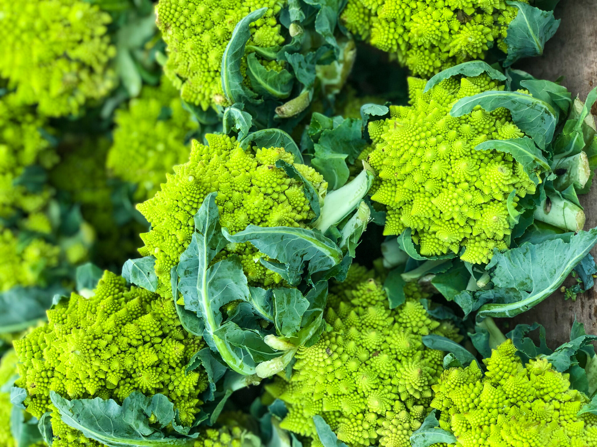 The right way to Use Romanesco Cauliflower The right way to Use Romanesco Cauliflower