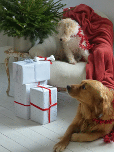 wishing you a happy christmas - MY FRENCH COUNTRY HOME