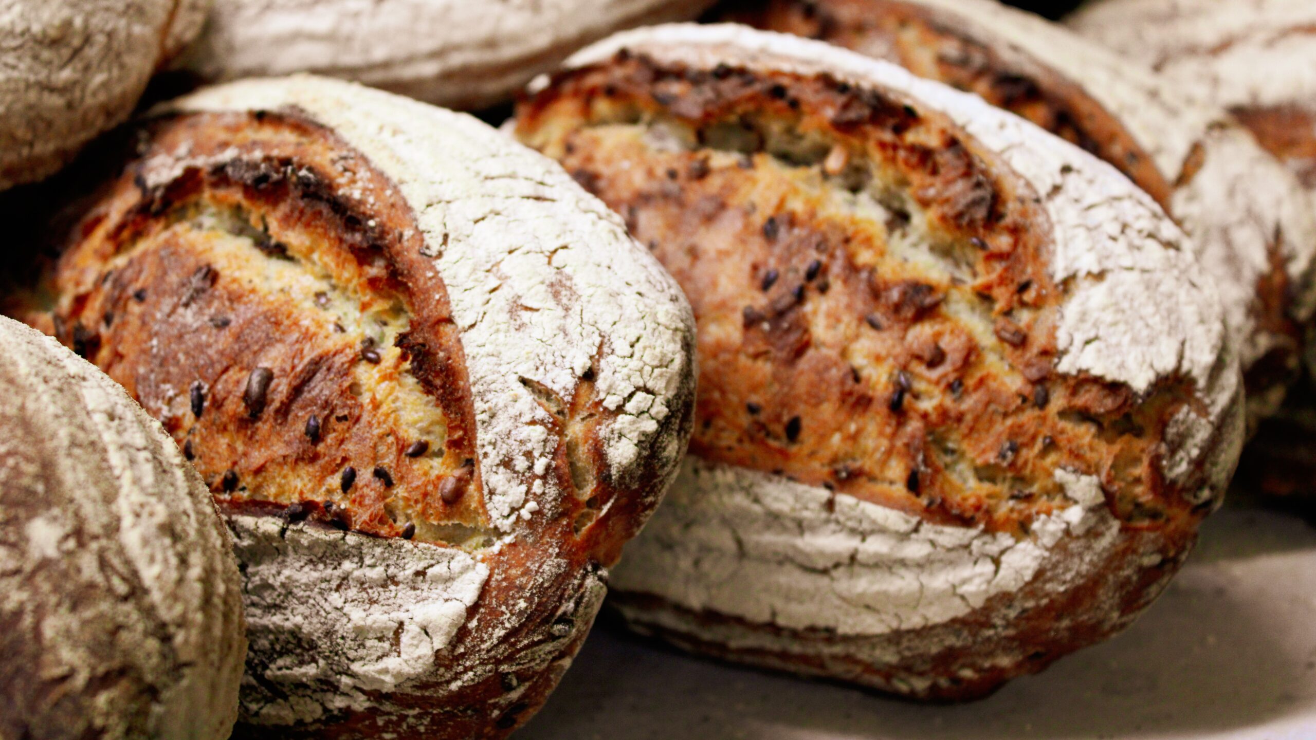 The Hungry {Romance} Writer: Sourdough, Pumpkin, Rosemary, and Dried Cranberry Bread