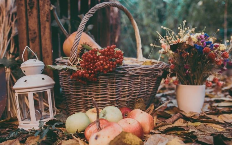 Basket of fall leaves and apples