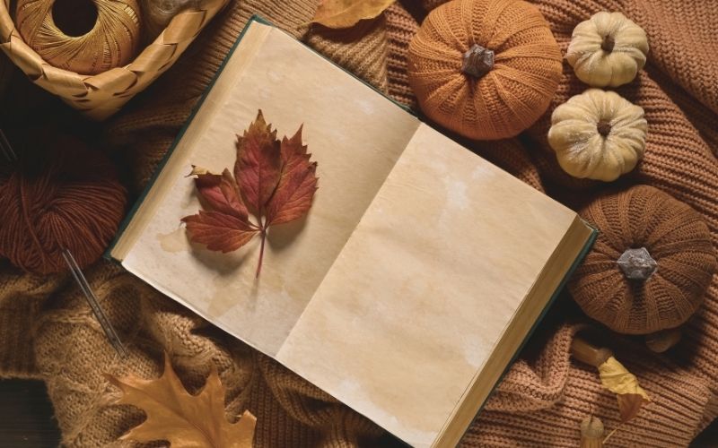 notebook with leaves and pumpkins
