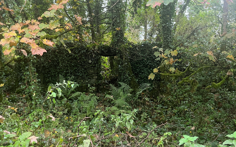 claremorris cabin Ireland