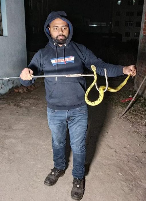 Jamshedpursnakefound जमशेदपुर में पहली बार मिला बंबू पिट वाइपर सांप, कहां से पड़ा गया और कौन