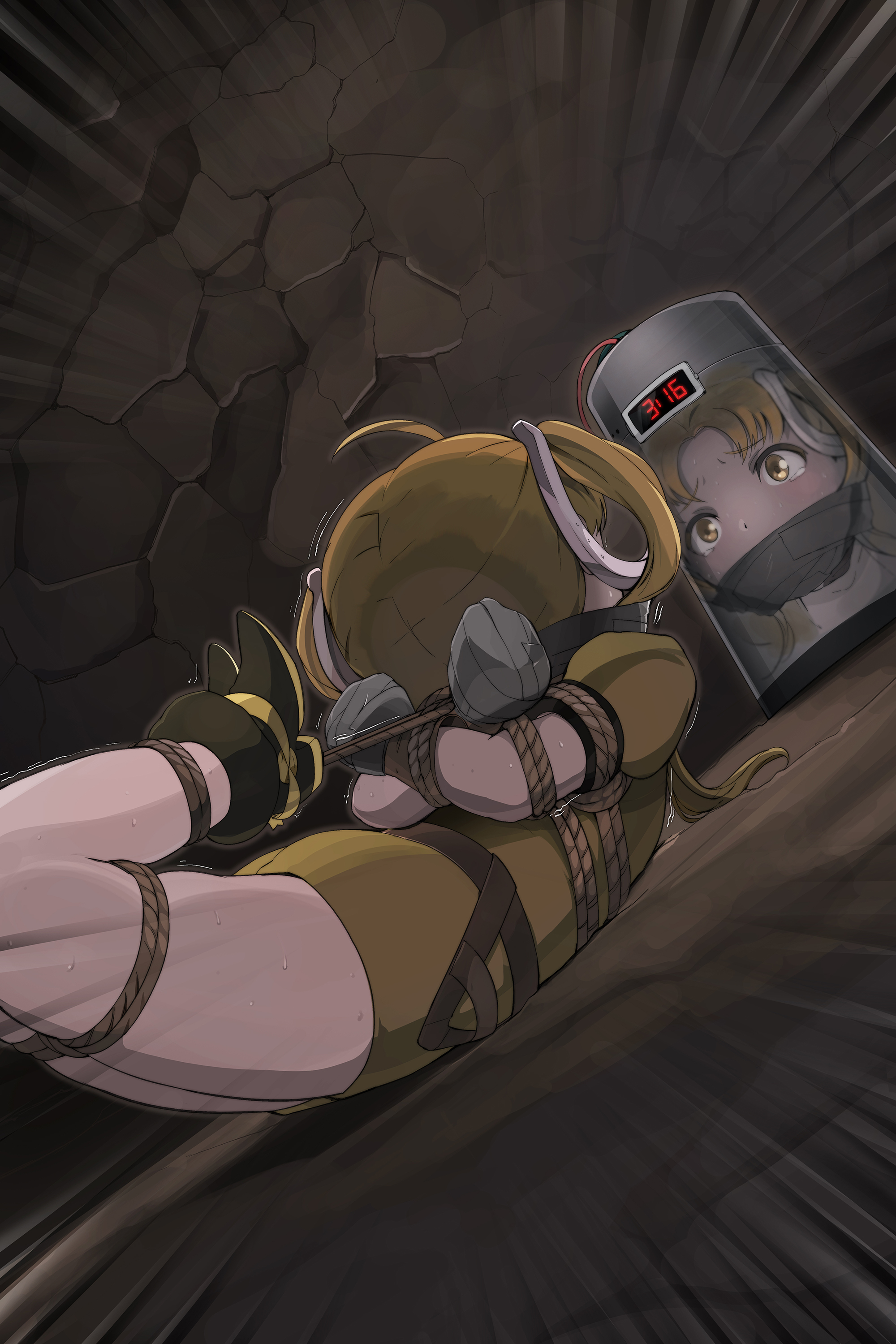 MSWG Chapter 3 Insert D