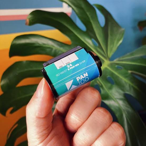 Image #1 from Leena Mujumdar