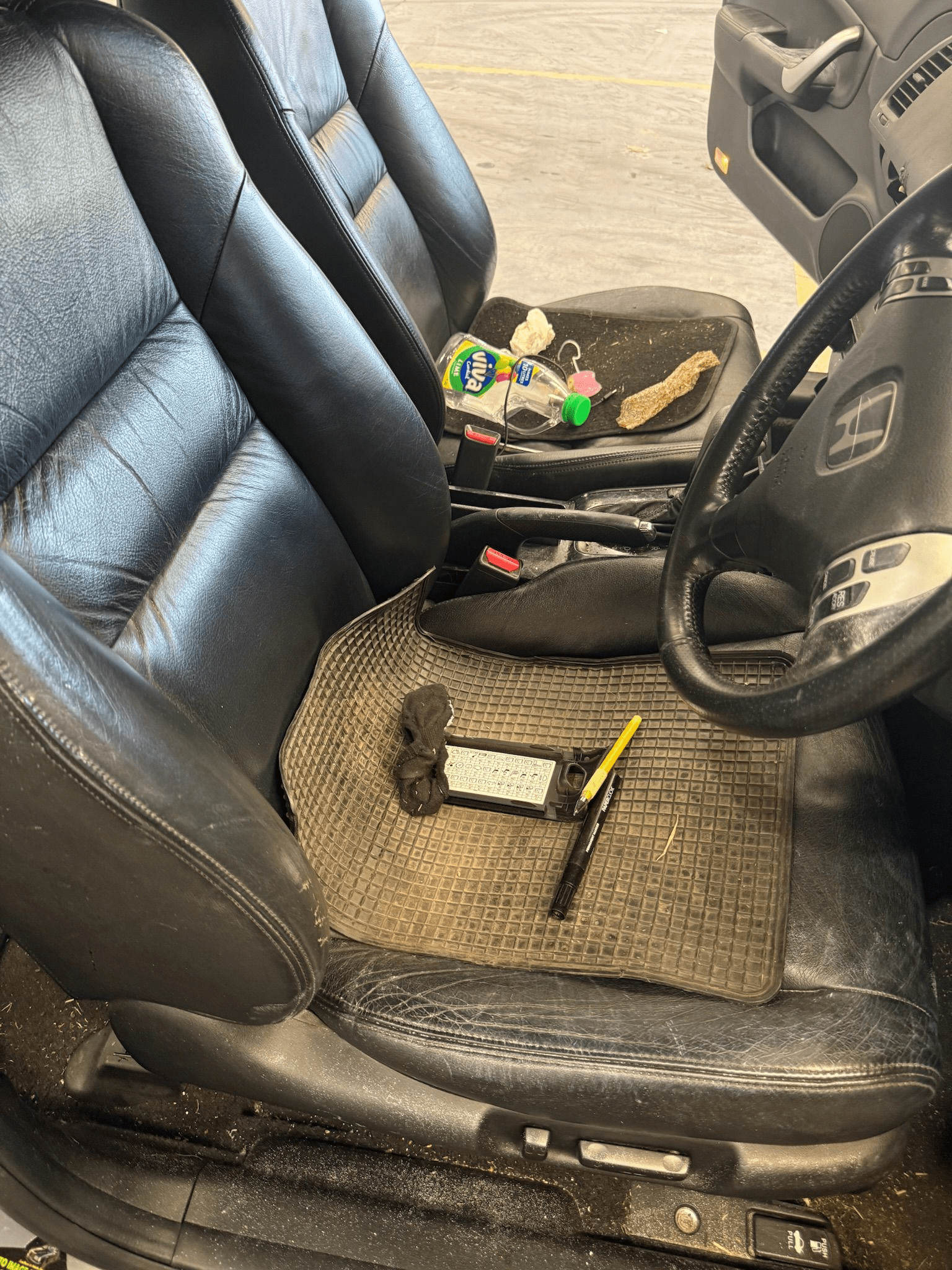 Vehicle decontamination technician inspecting and cleaning a contaminated vehicle in Queensland.
