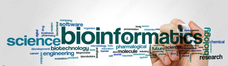 People Shashibp Lab - Mobile Sunset Textures for Desktop