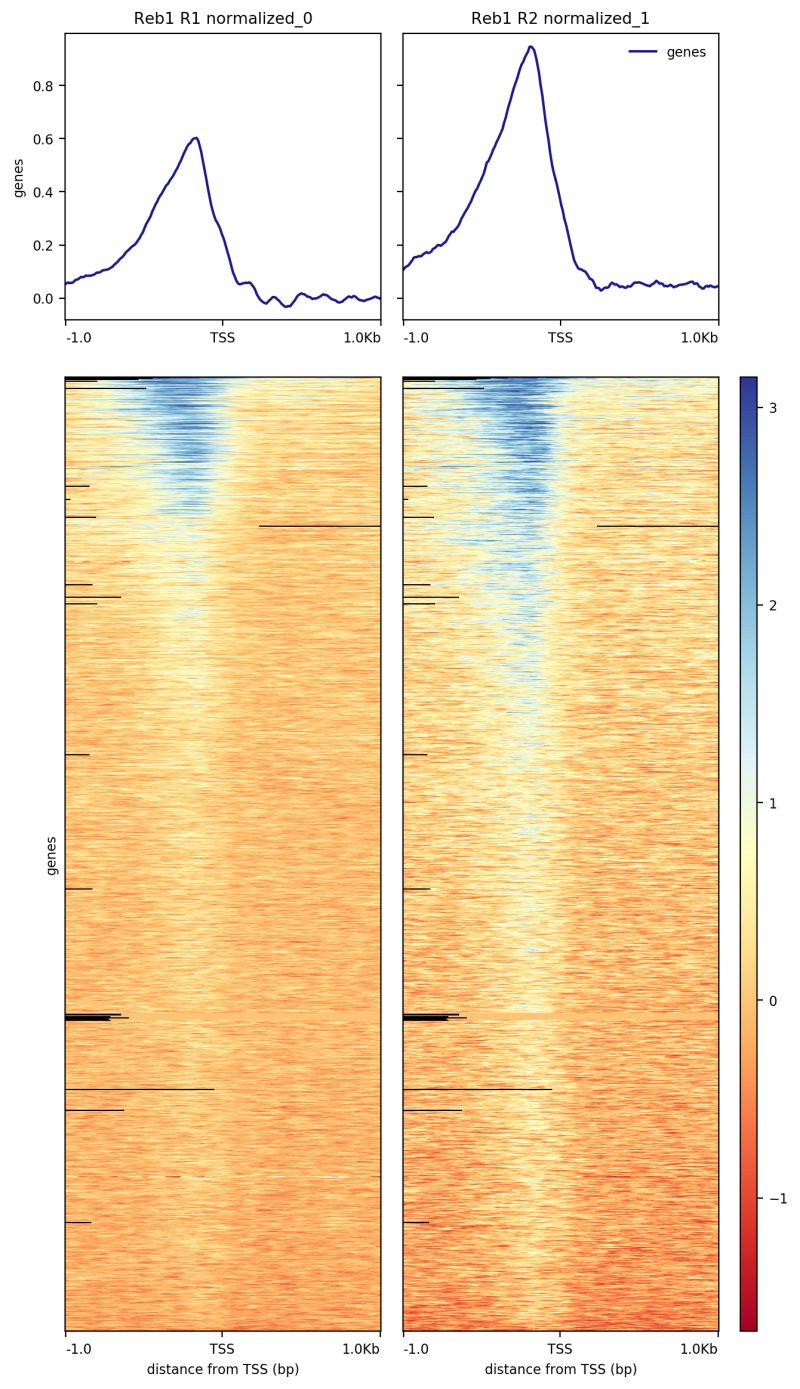 Github Shaunmahony Chip Seq Tutorial Galaxy Based Tutorial For - Download Elegant Minimal Pattern | Full HD