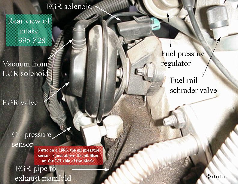 Oil Pressure Sending Unit Ls1tech Camaro And Firebird Forum Discussion The LT1 blocks are cast iron.