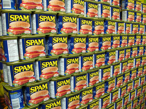 Effectively stop spam users from registering on BuddyPress